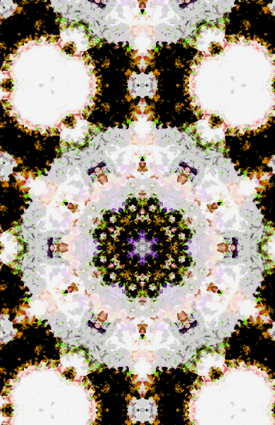 M ~ !#4 ~ ParaBrahma Mahaa Shishtaananda Sattva Chinha Mandala ~