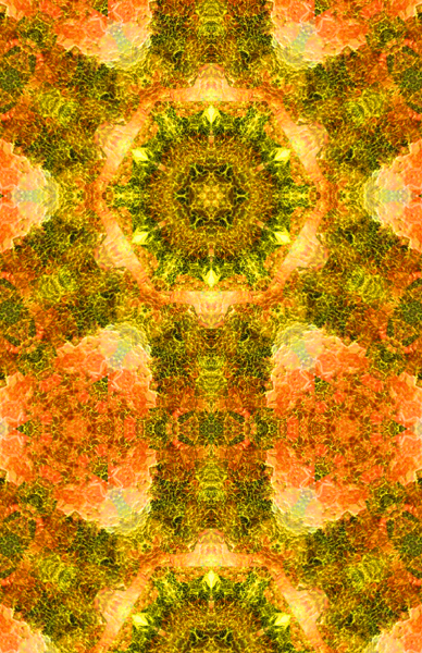 M ~ !#10 ~ Mahaa Vighneshwara Vishva Roopa Nyaasa Spanda Mandala ~