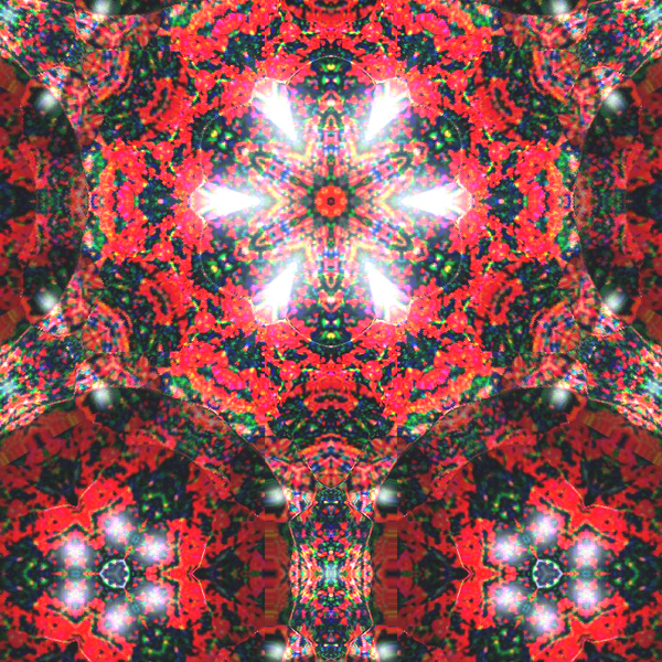 M ~ !#8 ~ Mahaa Kaala Bhairava Mahaa Kaali Rahasya Spanda Mandala ~