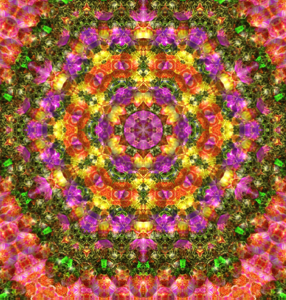 M ~ 1#9 ~ Mahaa Maayaa Durga Shaanthi Chinha Mahaa Mandala ~