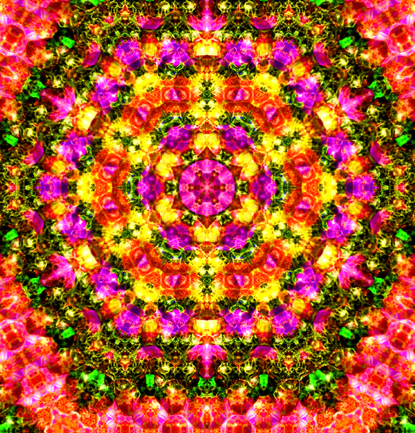 M ~ 3#8 ~ Maha Kaalkambika Kaala Bhairava Yukthi Yantra Mandalam ~