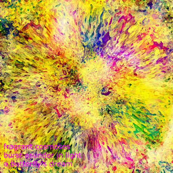 Haiga  2~ 4 ~ fragrant cosmoses