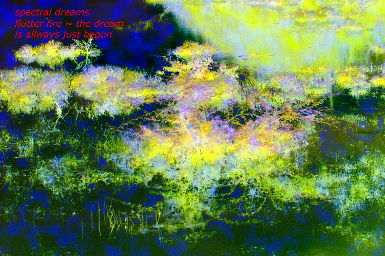 Haiga  3 ~ 5 ~ spectral dreams ~