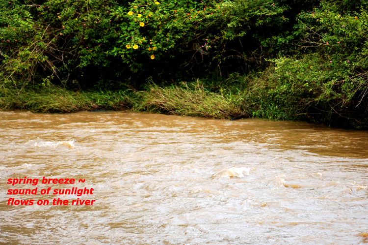 Haiga  3 ~ 2 ~ spring breeze ~