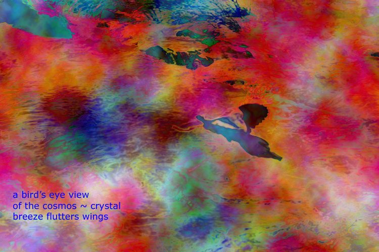Haiga  3 ~ 7 ~ a bird's eye view ~