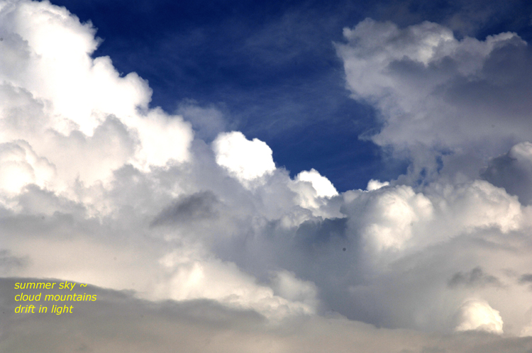 Haiga  3 ~ 3 ~ summer sky ~