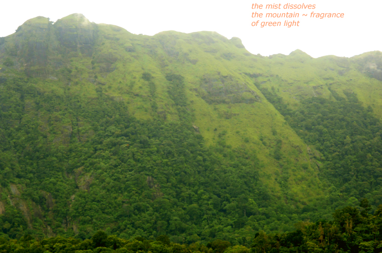 Haiga  4 ~ 7 ~  the mist dissolves