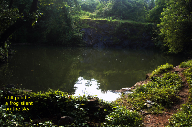 Haiga  4 ~ 10 ~ still pond ~