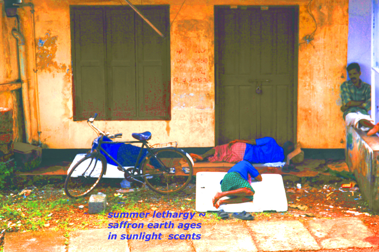 Haiga  4 ~ 11 ~ summer lethargy