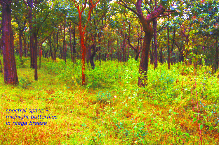 Haiga  4 ~ 1 ~ spectral space ~