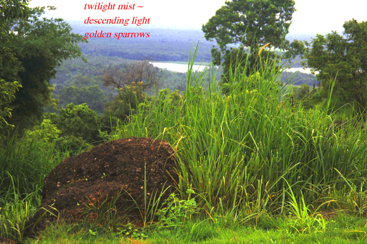 Haiga ~ 5 ~ 2 ~ twilight mist