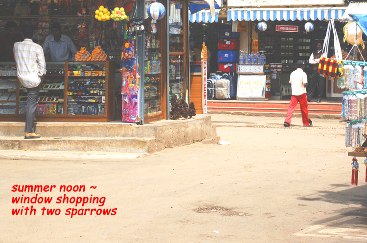 Haiga ~ 5 ~ 5 ~ summer noon