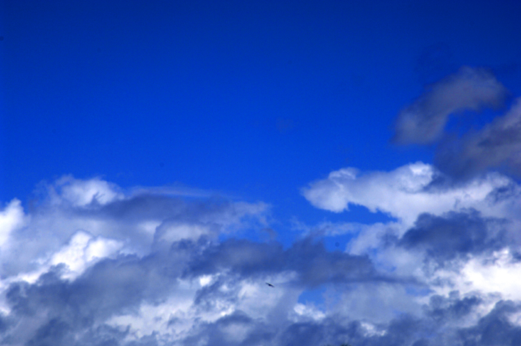 Clouds ~ 6#5