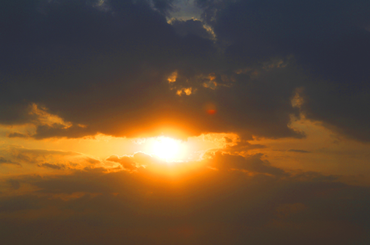 D&D ~ 1#8 ~ Bangalore