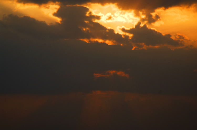 D&D ~ 1#11 ~ Bangalore