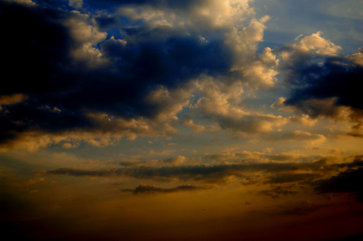 D&D ~ 1#10 ~ Bangalore