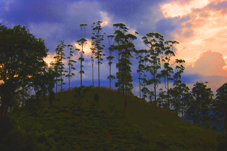 D&D ~ 1#5~ Waya-Naadu