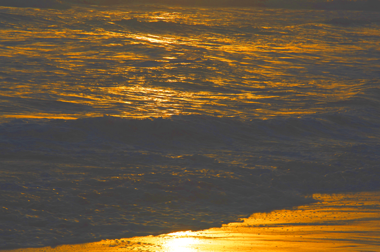 D&D ~ 1#2 Kovalam, Kerala, India, Earth, Cosmos