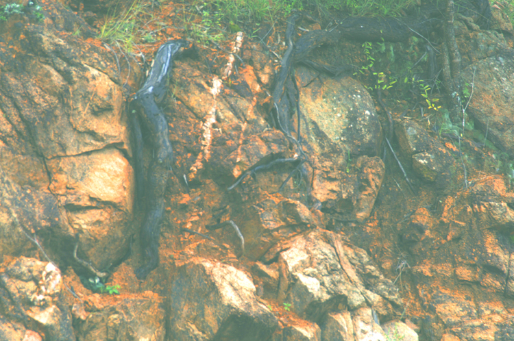 Infinite Stone Rhythms ~ Cosmos ~ 1-7