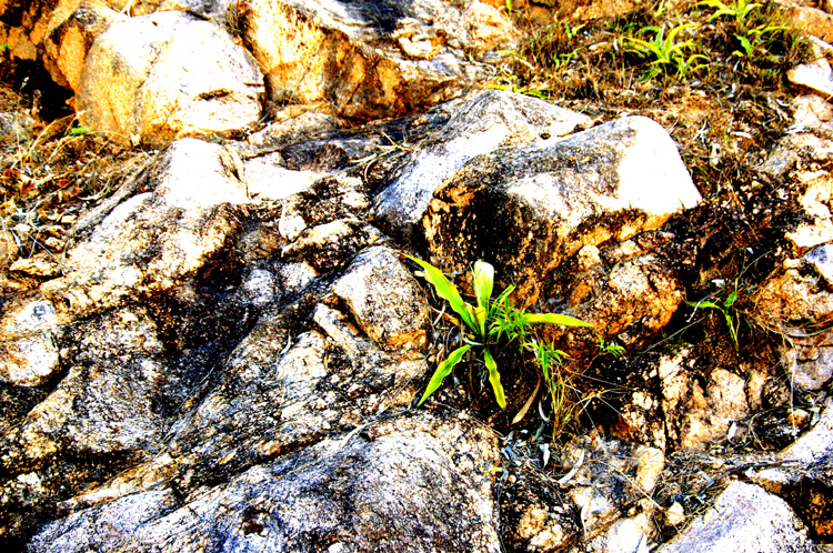 Infinite Stone Rhythms ~ Cosmos ~ 11-2