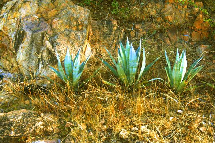 Infinite Stone Rhythms ~ Cosmos ~ 18-8