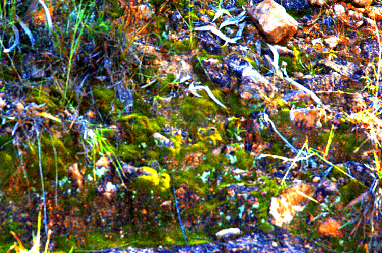 Infinite Stone Rhythms ~ Cosmos ~ 18-5