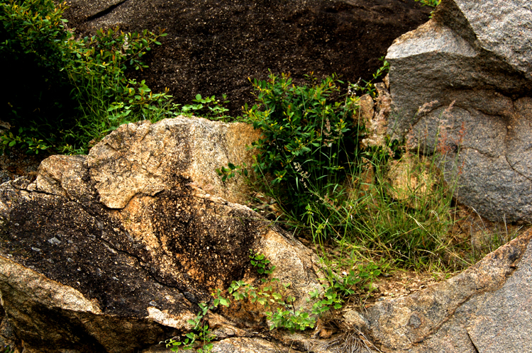 Infinite Stone Rhythms ~ Cosmos ~ 21-2