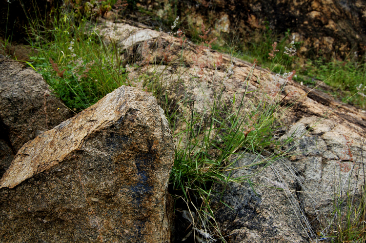 Infinite Stone Rhythms ~ Cosmos ~ 22-4