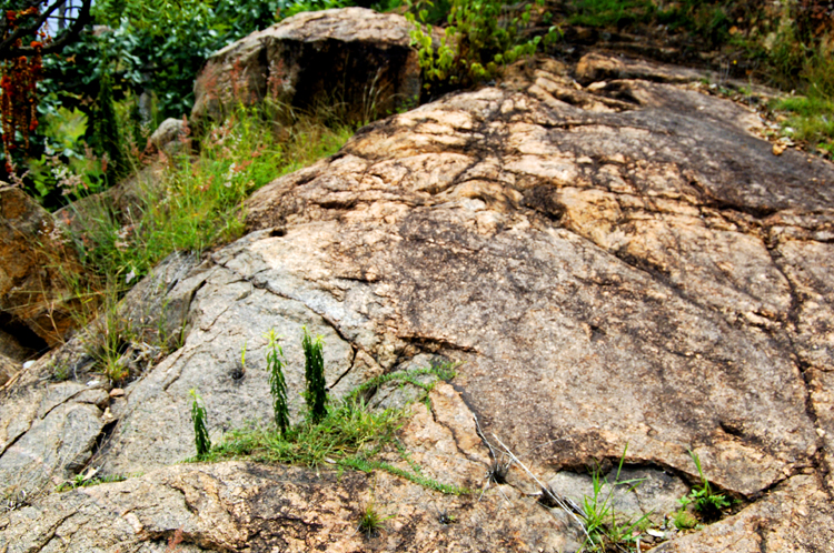 Infinite Stone Rhythms ~ Cosmos ~ 22-5