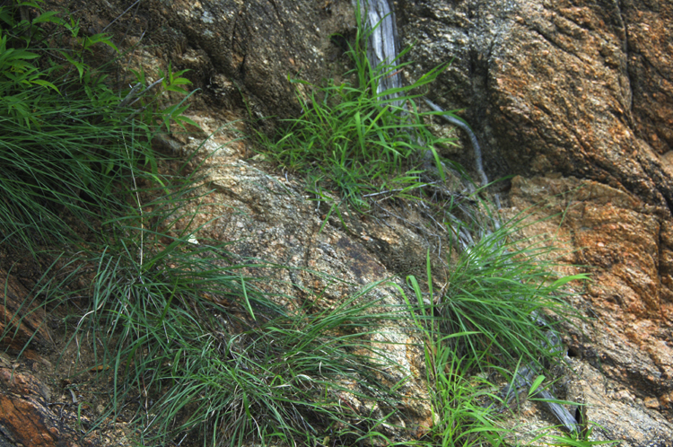 Infinite Stone Rhythms ~ Cosmos ~ 23-11