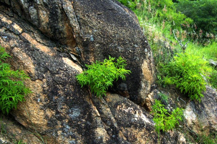 Infinite Stone Rhythms ~ Cosmos ~ 24-2