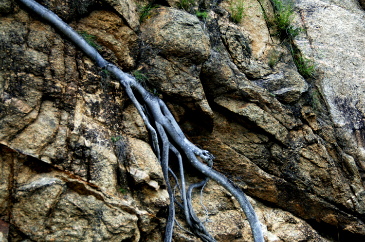 Infinite Stone Rhythms ~ Cosmos ~ 24-4