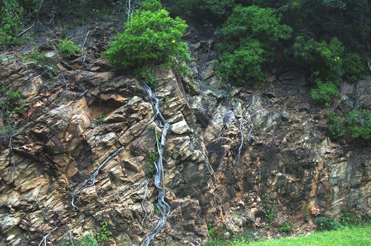 Infinite Stone Rhythms ~ Cosmos ~ 25-2