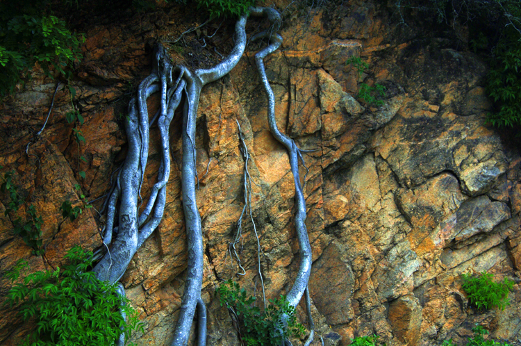 Infinite Stone Rhythms ~ Cosmos ~ 25-10