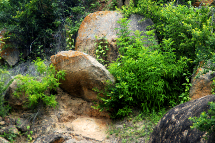 Infinite Stone Rhythms ~ Cosmos ~ 27-3