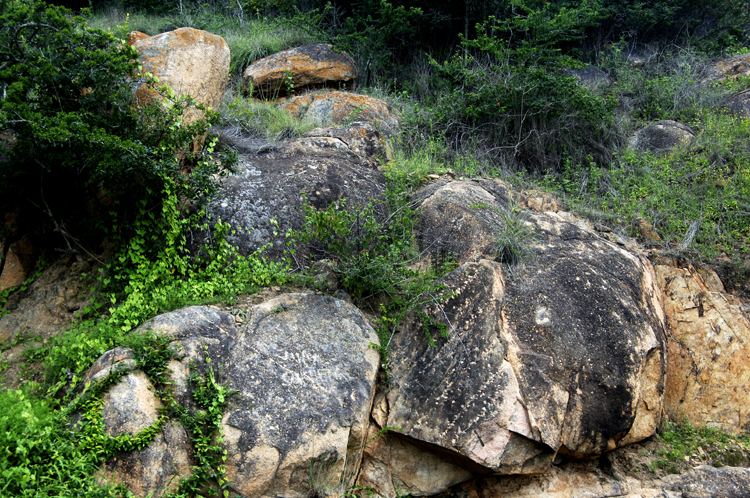 Infinite Stone Rhythms ~ Cosmos ~ 27-6