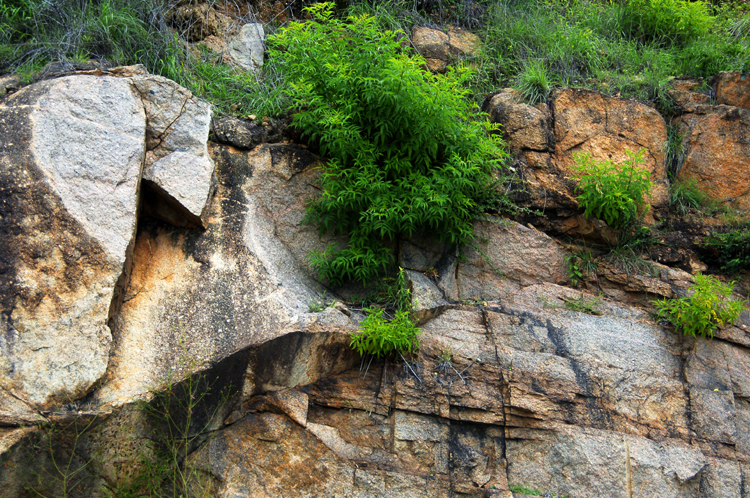 Infinite Stone Rhythms ~ Cosmos ~ 28-2