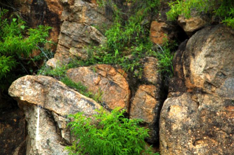 Infinite Stone Rhythms ~ Cosmos ~ 29-1