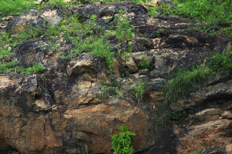 Infinite Stone Rhythms ~ Cosmos ~ 29-11