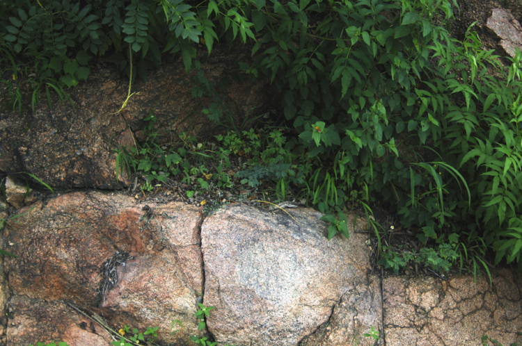 Infinite Stone Rhythms ~ Cosmos ~ 31-10