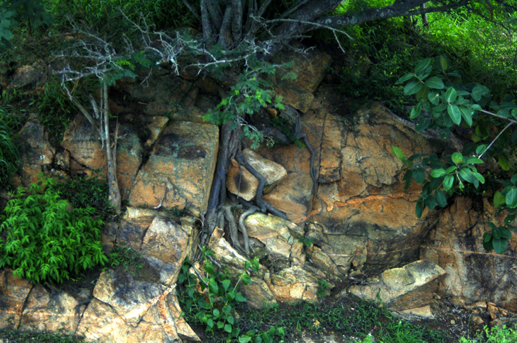 Infinite Stone Rhythms ~ Cosmos ~ 31-7