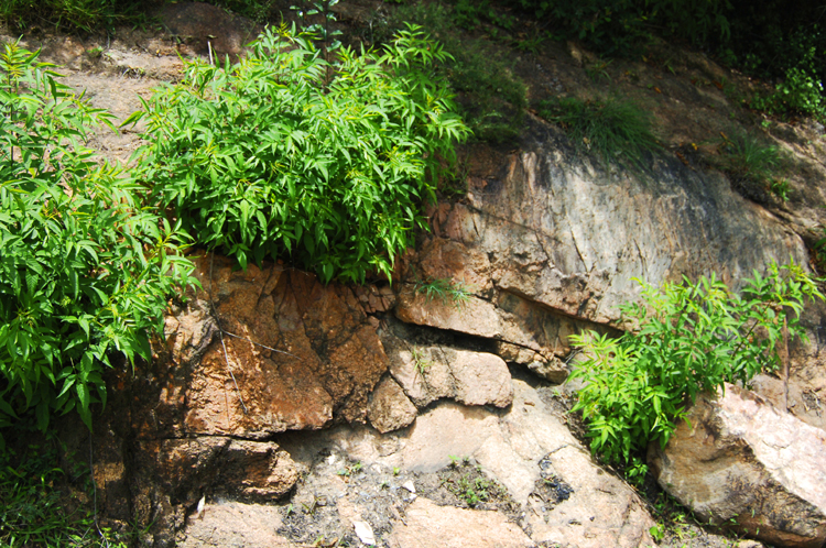 Infinite Stone Rhythms ~ Cosmos ~ 33-3