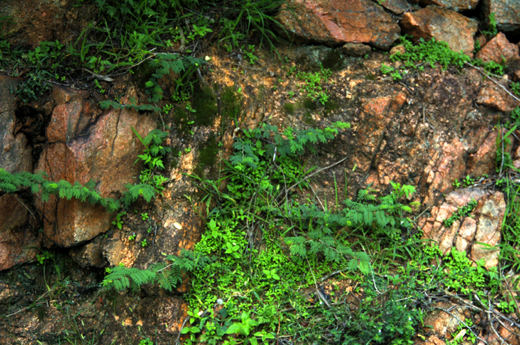 Infinite Stone Rhythms ~ Cosmos ~ 33-5