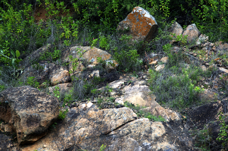 Infinite Stone Rhythms ~ Cosmos ~ 34-4