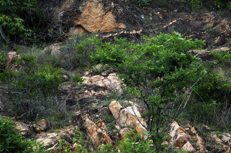 Infinite Stone Rhythms ~ Cosmos ~ 34-5