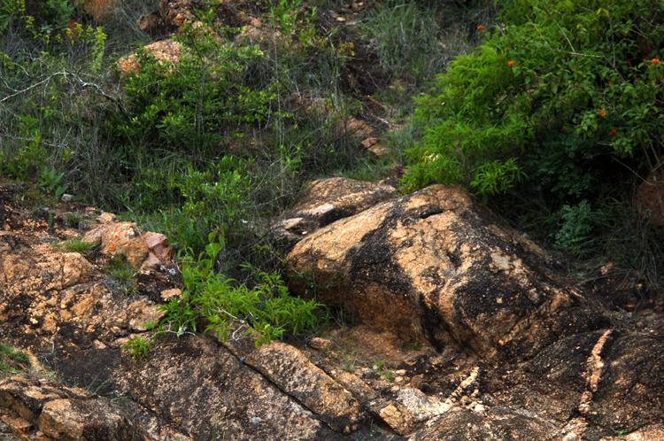 Infinite Stone Rhythms ~ Cosmos ~ 34-6