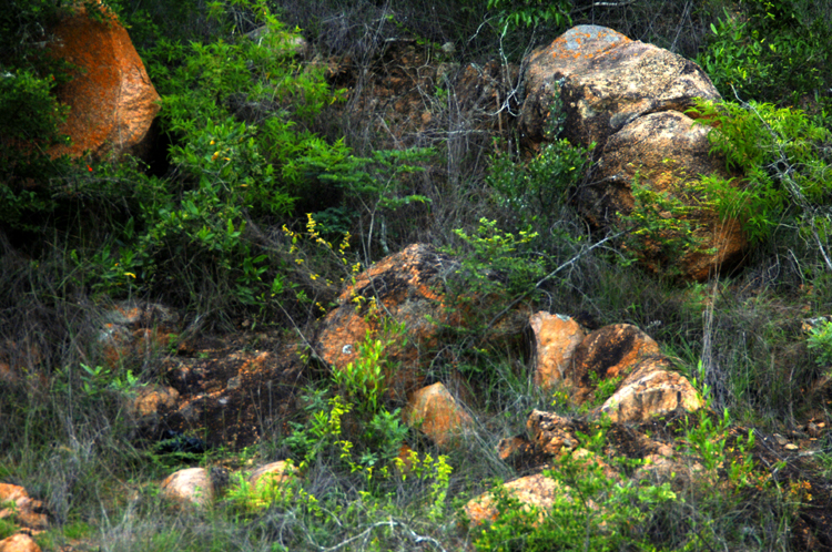 Infinite Stone Rhythms ~ Cosmos ~ 34-7