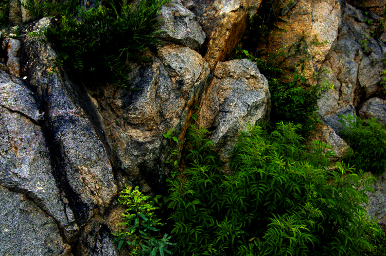 Infinite Stone Rhythms ~ Cosmos ~ 34-9