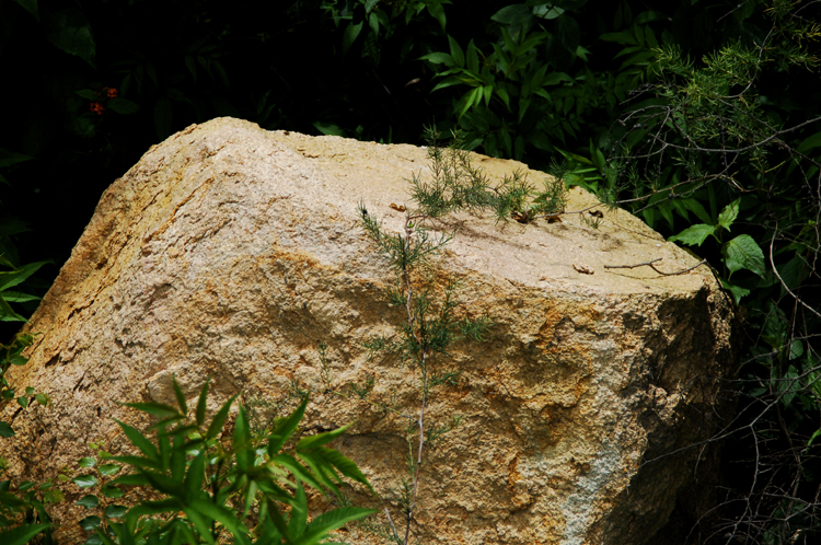 Infinite Stone Rhythms ~ Cosmos ~ 34-10