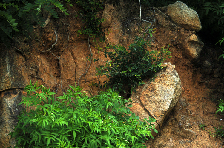 Infinite Stone Rhythms ~ Cosmos ~ 34-11